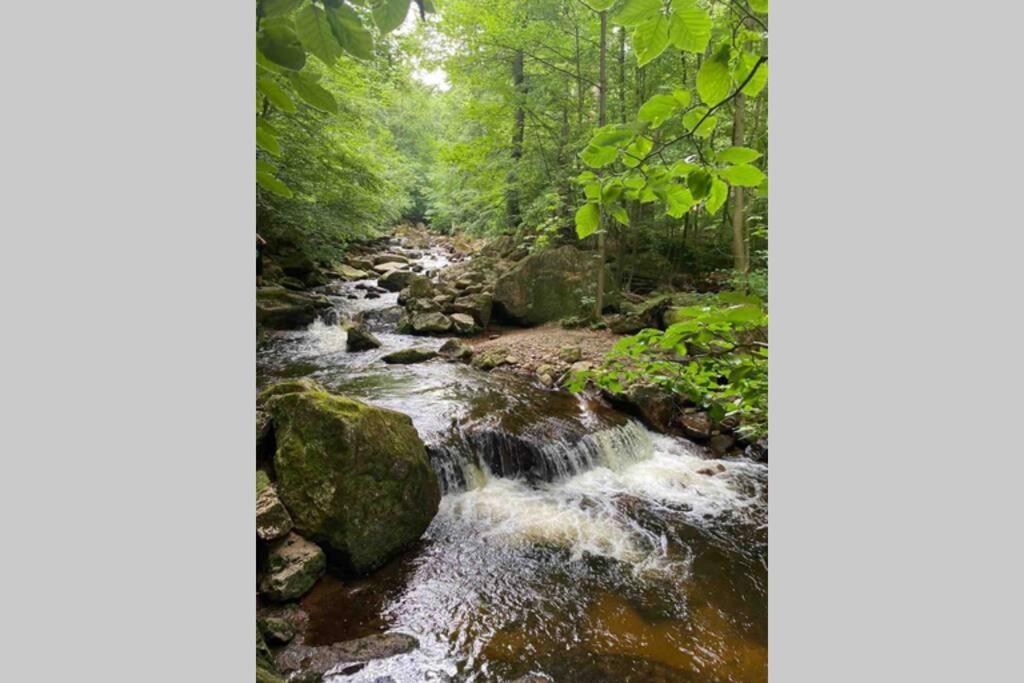 Schoenes Ruhiges App Mit Panoramablick Auf Den Harz ブラウンラーゲ エクステリア 写真